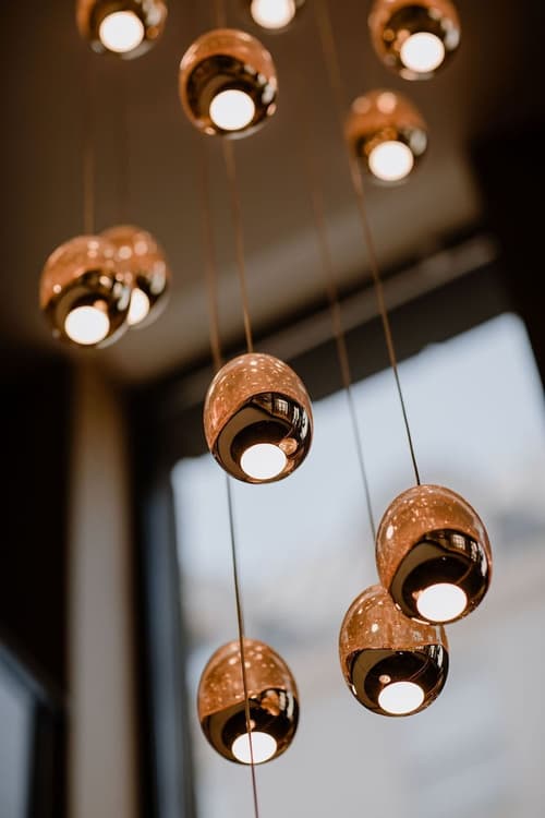 Prince Albert Lyon Bercy, Reception