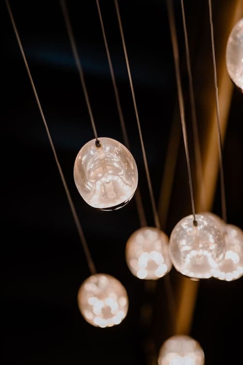 Prince Albert Lyon Bercy, Reception