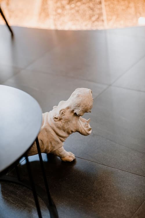 Prince Albert Lyon Bercy, Reception