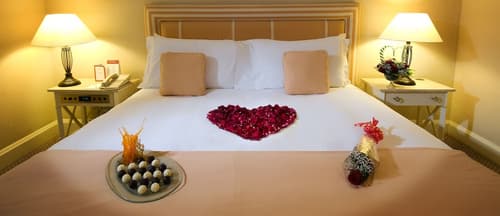 Millennium Plaza Downtown Hotel, Room