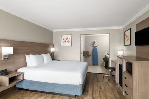 Solara Inn and Suites, Room