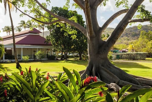 Copamarina Beach Resort & Spa, Room