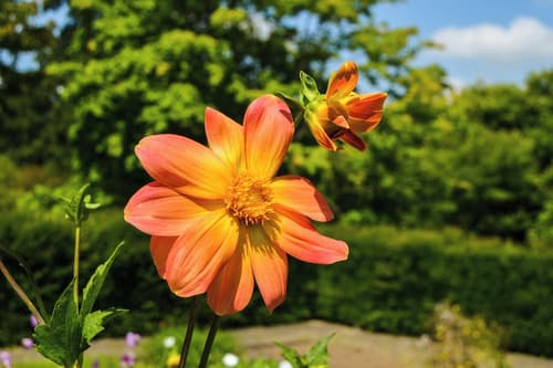 Holiday Inn Austin -Town Lake by IHG, Point of interest