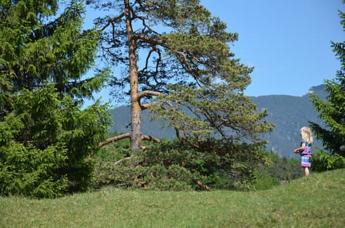 Hotel Rheinischer Hof, Hiking