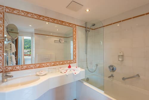 Hotel Rheinischer Hof, Room