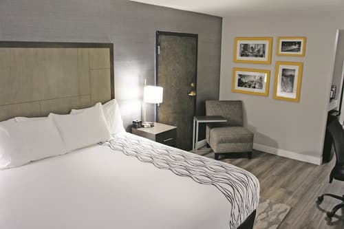 La Quinta Inn & Suites by Wyndham Raleigh Downtown North, Room