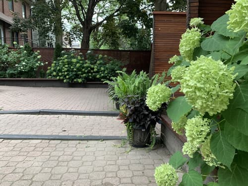 Pembroke Inn, Garden