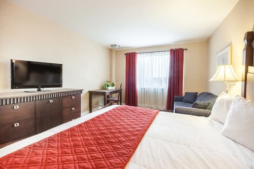 Ambassadeur Hotel, Room