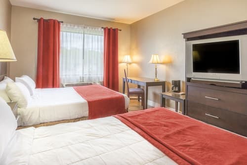 Ambassadeur Hotel, Room