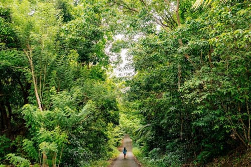 Mahogany Hôtel Résidence & Spa, Hiking