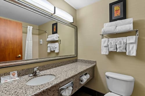 Comfort Suites Denver Tech Center, Room