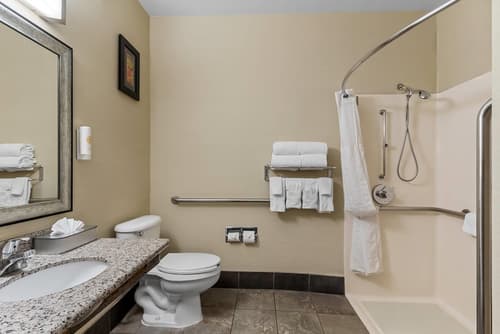 Comfort Suites Denver Tech Center, Room