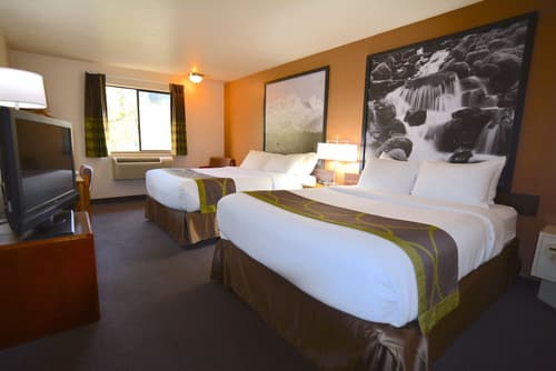 Super 8 by Wyndham Port Angeles at Olympic National Park, Room