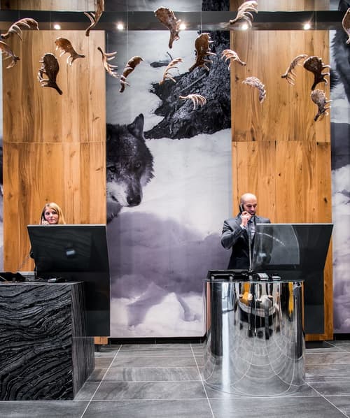 Alpina Eclectic Hotel, Reception