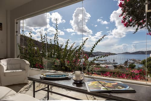 Rhenia Mykonos, Reception