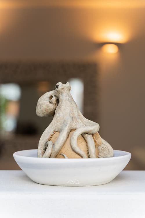 Rhenia Mykonos, Reception