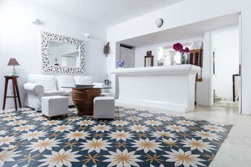 Rhenia Mykonos, Reception