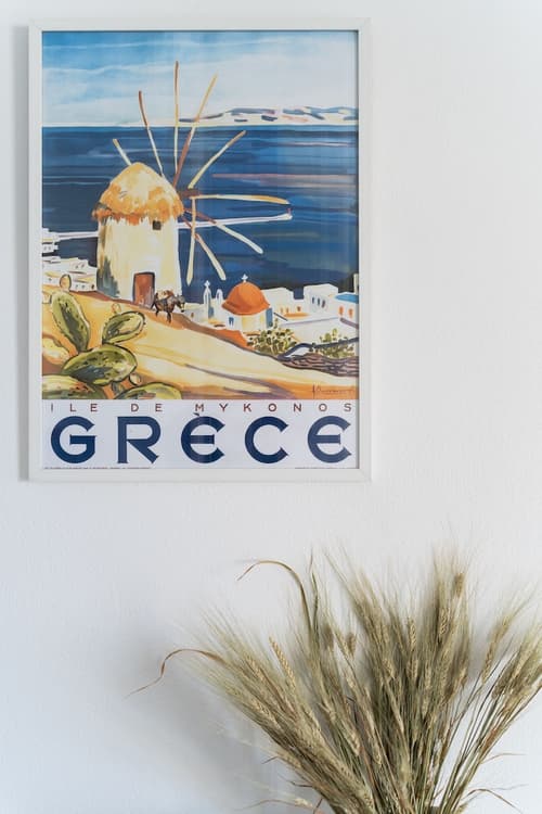 Rhenia Mykonos, Reception