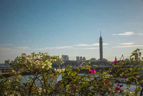 Ramses Hilton, View from room