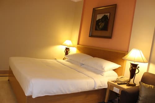 The Hans Hotel New Delhi, Room