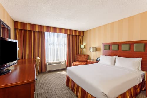 Holiday Inn Sacramento Downtown-Arena by IHG, Room