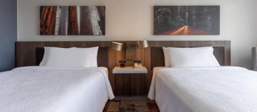 Hilton Garden Inn San Francisco/Oakland Bay Bridge, Room