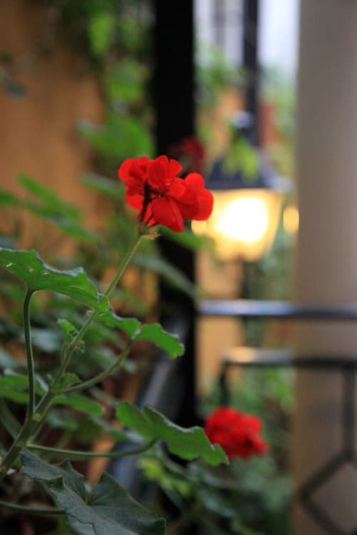 Hotel Cervantes, Interior detail