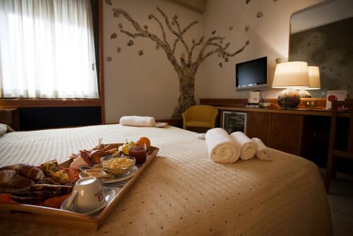 Hotel Diplomatic, Room