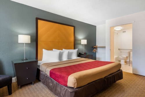 Econo Lodge Airport at RJ Stadium, Room