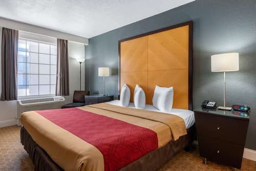 Econo Lodge Airport at RJ Stadium, Room