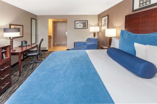 Wyndham Garden Elk Grove Village/O'Hare, Room