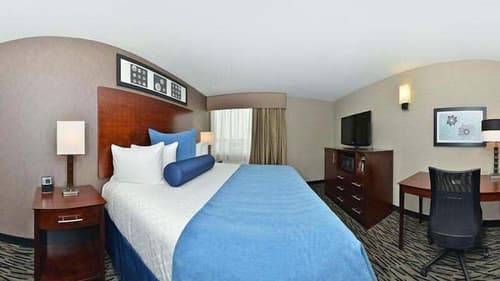 Wyndham Garden Elk Grove Village/O'Hare, Room