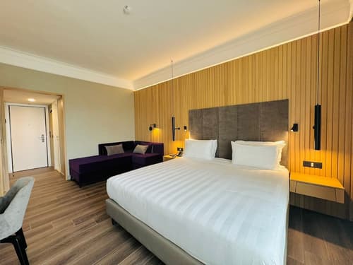 Crowne Plaza Rome-St. Peter's Hotel & Spa by IHG, Room