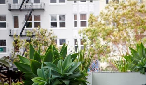 The Phoenix Hotel, View from room