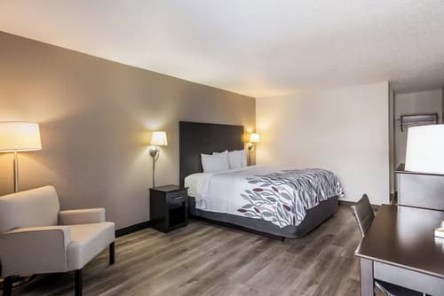 Red Roof Inn Savannah - Southside/Midtown, Room