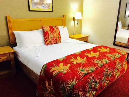 Caliente Tropics Hotel, Room