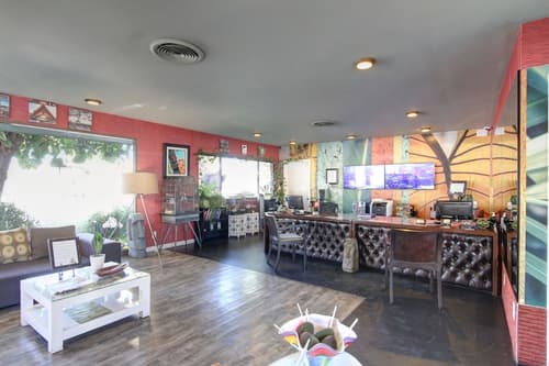 Caliente Tropics Hotel, Reception