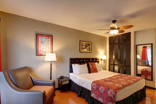 Caliente Tropics Hotel, Room