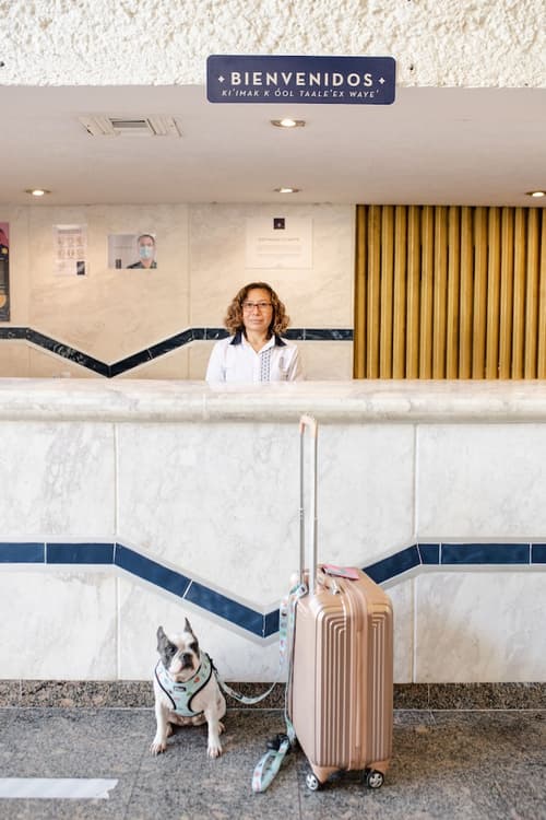 Hotel Los Aluxes, Reception