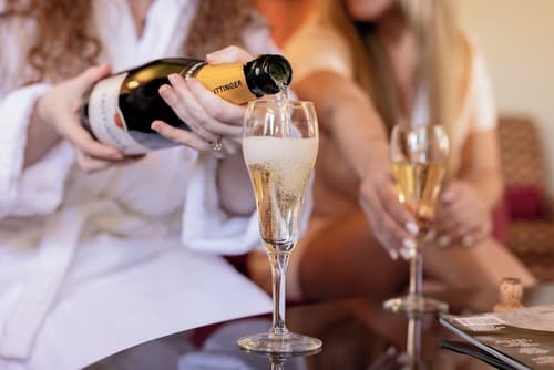 Millennium Knickerbocker Chicago, Room