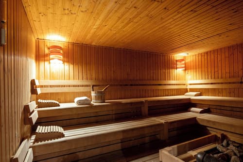 Crowne Plaza Antwerp by IHG, Sauna