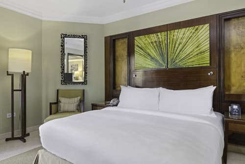 Hilton Luxor Resort & Spa, Room