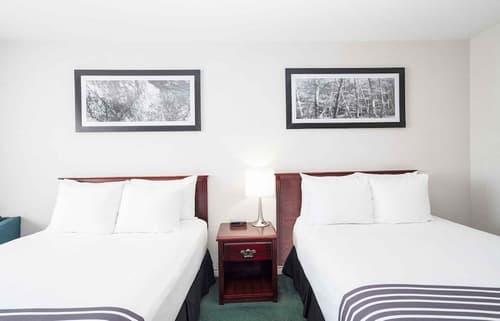 Sandman Inn Smithers, Room