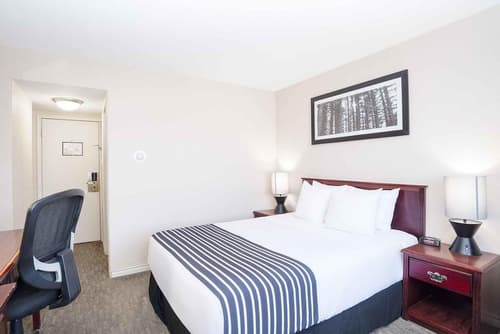 Sandman Inn Smithers, Room