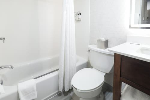 Holiday Inn Express Washington DC SW - Springfield by IHG, Room