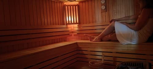 Novotel Paris Centre Tour Eiffel, Sauna