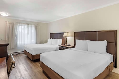 Best Western Carmel's Town House Lodge, Room