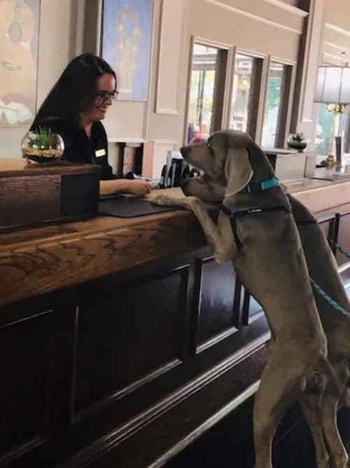 Millennium Maxwell House Nashville, Lobby