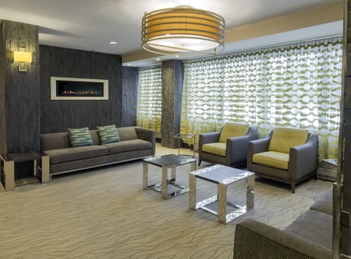 Holiday Inn Niagara Falls State Park Entry by IHG, Lobby sitting area