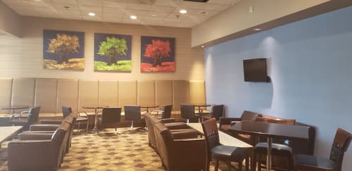 DoubleTree by Hilton St. Louis - Westport, Lobby sitting area